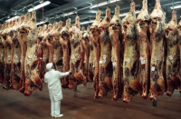 Résistance des revêtements muraux en résine pour les abattoirs